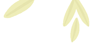 20250621103311_91313.jpg